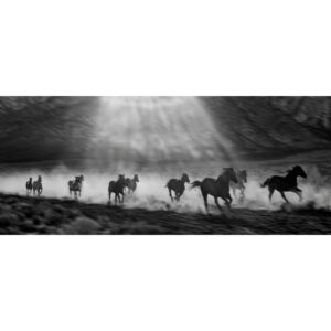 Emmanuel Lubezki Instagram - # 1.