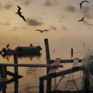 Emmanuel Lubezki Instagram - Some of the images from the Lavazza Calendar 2022. 
artist:   
@benharper @sonitalizadeh @mitty @shamellbell @shilpay @saype_artiste 
Thanks to:  
@lavazzaofficial @armandotestaspa @theproducerstv @parkpicturesny @kousidonis
@annmurph
@aleccume #Danielvoll @bretlama
 @jackiebisbee
 @lstrogoff
 @mark.d.harris
 @benlechevallier
 
 @_dfactory
 @paulnicklen
 @SeaLegacy
Dress by:  @c.a.n.c.i.n.o @cancino_fran 
 
 @theliftmx
 @kananfilms
 
 @glossnewyork
@kirapollack @chichiemb79  

 Our world is fragile, beautiful. Sometimes we forget. This edition highlights six artists and activists who are committed to change. My process begins in dialogue. How do you want to be photographed and where? My job is to translate their vision into images. Each image contains a personal secret, an evocation.
Our locations across America were impacted by climate change. The shoots exposed us to alarming realities: glacial lakes that disappeared overnight, roads hot enough to melt tires. It made me terribly aware of how desperately we need the voices of these activists. Their work challenges us, creates community, makes us readier for the world’s beauty, stronger against its dangers. It is our duty as artists, as creators, as businesses, to bring these truths to the forefront and address them. And to celebrate those working for change, and to join them, as Ben Harper sings — with our own two hands.
Thank you, Lavazza, for inviting me on this journey.