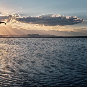 Emmanuel Lubezki Instagram - Some of the images from the Lavazza Calendar 2022.  
  A cloudless sky is difficult to shoot — like a face with no features.  All of a sudden from the west, behind the Sierra, the wind blew in  a few clouds. One covered the sun and we were able to see the sun’s rays. Shamell danced in rapture towards the light.
 artist:  @benharper @sonitalizadeh @mitty @shamellbell @shilpay @saype_artiste 
Thanks to:  
@lavazzaofficial @armandotestaspa @theproducerstv @parkpicturesny @kousidonis
@jessicaschaefer_
@annmurph
@aleccume #Danielvoll @bretlama
 @lstrogoff
 @mark.d.harris
 @benlechevallier
 @kevin_lavallade
 @_dfactory
 @paulnicklen
 @SeaLegacy
 @c.a.n.c.i.n.o
 @jessica_margolis
 @theliftmx
 @kananfilms
 @losinggroundseries
 @laurie_devine7
 @grainla
 @prisca_wille
 @shaynamfrederick
 @glossnewyork
@kirapollack @archerjoel @chichiemb79  
Our world is fragile, beautiful. Sometimes we forget. This edition highlights six artists and activists who are committed to change. My process begins in dialogue. How do you want to be photographed and where? My job is to translate their vision into images. Each image contains a personal secret, an evocation.
Our locations across America were impacted by climate change. The shoots exposed us to alarming realities: glacial lakes that disappeared overnight, roads hot enough to melt tires. It made me terribly aware of how desperately we need the voices of these activists. Their work challenges us, creates community, makes us readier for the world’s beauty, stronger against its dangers. It is our duty as artists, as creators, as businesses, to bring these truths to the forefront and address them. And to celebrate those working for change, and to join them, as Ben Harper sings — with our own two hands.
Thank you, Lavazza, for inviting me on this journey.
