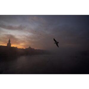 Emmanuel Lubezki Instagram - Praha.