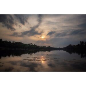 Emmanuel Lubezki Instagram - padma पद्म  ផ្កាឈូក