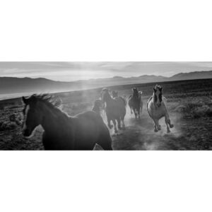 Emmanuel Lubezki Instagram - # 2.