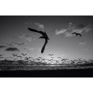 Emmanuel Lubezki Instagram - 