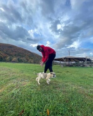 Emre Dinler Instagram - Sosyal bir gün..🐶