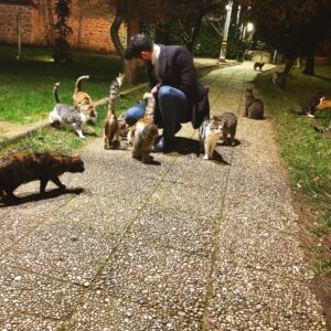 Emre Kıvılcım Instagram - Herkese iyi haftasonları diliyoruz biz 😽😺
