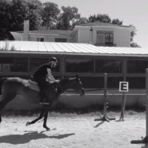 Emre Tetikel Instagram - Bağımlısıyız.. 💙🙏🏻@binicilikdunyasi #horseriding #act #horse #newproject #photography #horsesofinstagram #horsepower #riding #cinema #film #binicilikdunyasi