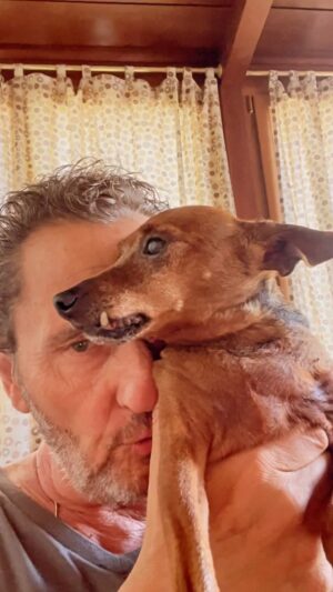 Enzo Salvi Instagram - “Il cane è un eterno Peter Pan, non invecchia mai, perciò è sempre disponibile ad amare ed essere amato” TYSON 10 ANNI ❤️
