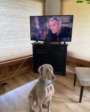 Eric Braeden Instagram - 
