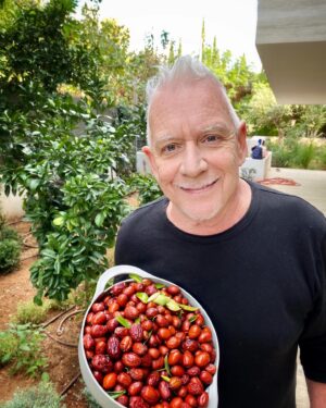 Eric Burdon Instagram - There’s a whole new world in your own backyard… 
Mother Nature’s bounty is plentiful this year!  #grateful #backyardgrowing #morherearth #fall #greece  #jujubes #pomegranates 📸 @marianna_burdon