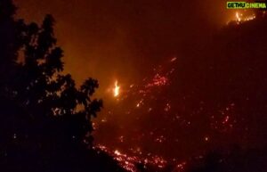Eric Garcetti Instagram - Thank you @losangelesfiredepartment @lafdairops and everyone for your powerful and brave work today at the #gettyfire Please go to lafd.org for updates or use official @mayorofla account for any help you need.