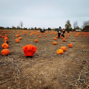 Eric Johnson Instagram - Lost my kid at the pumpkin patch. 🎃 

#camouflage