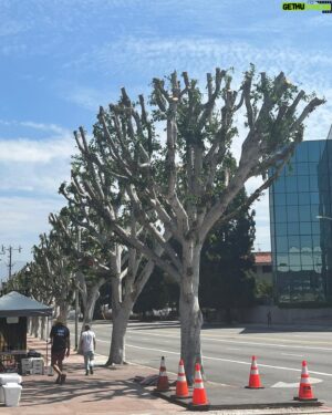 Eric Lange Instagram - Former Universal Tour Guide here: If you look to your left you’ll see ravaged shade trees and fences keeping sidewalks blocked. In the black building on the right you’ll see the people who likely did it. 

Oh and there’s Magnum PI’s Ferrari and the saddest mechanical shark ever. #Universal SAGAFTRAstrike