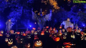 Eric Lange Instagram - If you’re looking for a family friendly Halloween thing in LA, Carved @descansogardens is as beautiful as it is creepy. 🎃🎃🎃🎃🎃