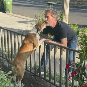 Eric McCormack Instagram - Calling all New York residents! My dog and I are working with the @ASPCA to help shut down the puppy mill pipeline. Let’s end the retail sale of dogs, cats, and rabbits in pet stores across New York State. Visit aspca.org/PuppyMillPipeline to take action