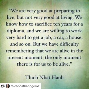 Erica Luttrell Instagram - #thichnhathanh @thichnhathanhgems @thichnhathanh