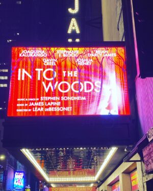 Erica Shaffer Instagram - We saw 7 Broadway shows and The Rockettes Christmas Spectacular in 4 days 🌟🎄❤️ Such a great way to end 2022 🎊Happy NewYear!! #love ❤️ Nothing better than overloading on theatre in NYC 🌟
