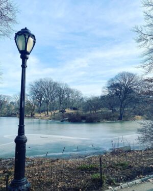 Erica Shaffer Instagram - Enjoying this beautiful Winter day in NYC #centralpark #strawberryfields #hadestown 🌟☀️🌟☀️🌟
