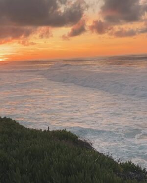 Erica Shaffer Instagram - #loveandaloha @angusmitchell_ ❤️✨❤️ #peace #love #light #beautifulsoul 🌊 @mmmindful 💐#restinpeace🦚 A Hui Hou!