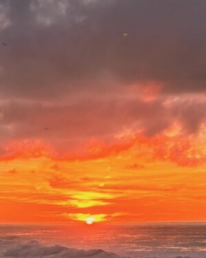 Erica Shaffer Instagram - #loveandaloha @angusmitchell_ ❤️✨❤️ #peace #love #light #beautifulsoul 🌊 @mmmindful 💐#restinpeace🦚 A Hui Hou!