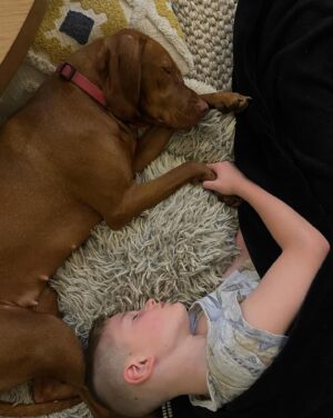 Erika Heynatz Instagram - Such a cherished member of our little family. Happy Birthday Whiskey. When your tail wags, so do ours. Thanks for sharing absolutely every toilet excursion with me. Next level intimacy. You've administered more kisses in two years than anyone else on the planet and given Charlie the sister he always wanted. So lucky. Dogs are the very, very best.