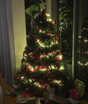 Erika Heynatz Instagram - Stuffed full of all the good things again this year! I am merry, jolly although not feeling especially light. Love and oinks of pure merriment to all who are hoovering the leftovers with gusto while playing cards.