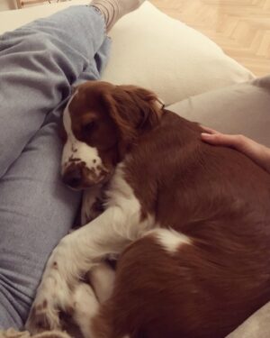 Erika Kaar Instagram - I’m thinking of changing his name to Freddy The Chill Pill 🐶🧍🏼‍♀️🤎