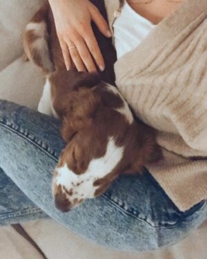 Erika Kaar Instagram - I’m thinking of changing his name to Freddy The Chill Pill 🐶🧍🏼‍♀️🤎