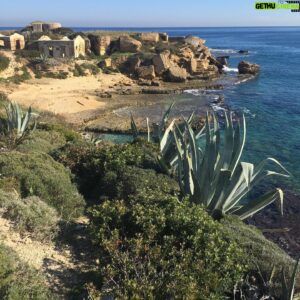 Erlend Øye Instagram - Today on the entry to the area Pillirina there was this man telling me i couldnt enter. That the owners of the land has after 13 years won all the cases they needed to win in italian courts and that now this land and the neighbouring seaside is off limits to the public. And that yesterday the police came to give fines to the people who were there. And this would happen to us if we went there. This area has been of public use for at least 50 years. When i came to Siracusa for the first time in 2008, on the second day i was taken here. And it was the mix of the beauty of the historical center, with the wild and free seaside area of Pillirina so near, that attracted me to Siracusa and that made me buy a house here and move here in 2012. From what I understand; a noble person, Marquis De Gresy, @manu_di_gresy is behind the investment company Elemata that now will make this area private and construct houses here where there now are ruins. What is his motivation to do this? Does he think he is doing a favour to Siracusa? Pillirina does not need any “requalification”. Its perfect as it is. Cliffs that year by year erodes into the sea. Houses that offer an idea of past settlements, and relics from the 2nd world war, that tells history in its subtle way. In the windy spring months, here we can find a windshaded beach and pretend its already summer. 
Mr Gresy, if you read this, please change your mind. I can sell my house in Bergen and maybe i can manage to pay for the costs you have had in all this time trying to procure the permits you needed. Will 1 million euro be enough? I know its little, but its all i have. Dont take Pillirina away from us. #pillirina #pillirinariservasubito