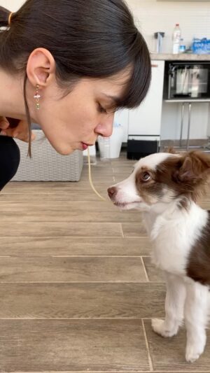Esengül Yılmaz Instagram - Ne asla köpeğime yüzümü yalatmıyorum.
Tabi sağlıksız. Köpeği yatağımıza almıyoruz kdlflf😅