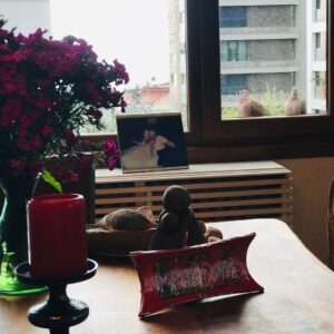 Esra Ronabar Instagram - Babaannem derdi ki Allah “Bir kumruya bir karga,bir kargaya bir kumru verirmiş.Çok nadir bir kumruya bir kumru verirmis”İyi ki doğdun @bfalay 🙏🏻🎈👏🏻👏🏻İYİ Kİ♥️