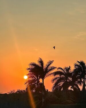 Esteban Martínez Instagram - Un día más 🌅