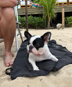 Esteban Velásquez Instagram - Fim de semana ✌🏻🫀☀️🏖️