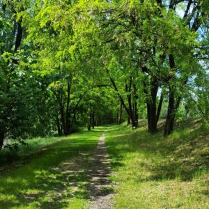 Esther Garrel Instagram - 🏃☀ #green green green ☀