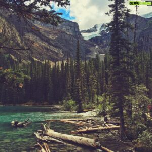 Evan Williams Instagram - 🇨🇦 True North Strong and Free
#happycanadaday