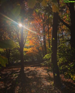 Evan Williams Instagram - Though you’ve fallen, you’ll be lighter. With broken hearts each part glows brighter.