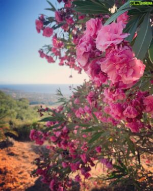 Evan Williams Instagram - and that’s where you will find me
where the world forgets to go
barefoot in the garden
for that’s where all the flowers grow .
~~~///--=:🌸:=--\\\~~~