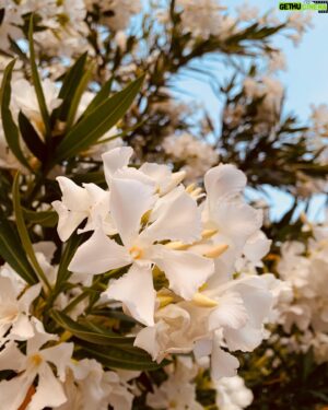 Evan Williams Instagram - pray a sweet breath of peace to every troubled heart in this moment. a warm embrace. you are not alone. you are not alone.