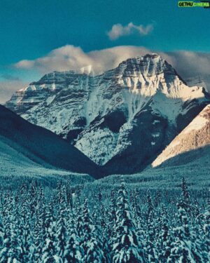 Evan Williams Instagram - 🇨🇦🌲Merry Christmas🌲🇨🇦
✨Hug the ones you love. Then hug ‘em again.✨