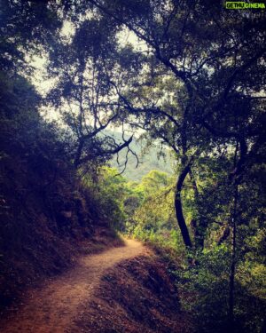 Evan Williams Instagram - Eden after all this time.. 
••••<*** >.....\\>🌱<//.....< ***>••••
