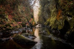 Evelyn Edwards Instagram - Am I weird? I reeeeaaallly really like photographing things way more in the late fall and early winter. The light is better, there are less people around, and the colors are 🤌🏻 *mwuah! Plus Wales is just heavenly. Everyone runs to  Scotland for landscape photography… friends… Wales is a gem! .
.
.
.
.
.
.
#cymru #wales #visitwales #discovercymru #discoverwales #southwales #welsh #snowdonia #cymraeg #igerswales #landscapephotography #landscape #fairyglen