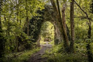 Evelyn Edwards Instagram - This little chapel is one of my most favorite finds in the last several years. It is down a path you’d never know existed. A funny story…as we were trying to find the beginning of the pathway to the ruin a man in his twenties dressed in full 100% 1800s clothing came out of nowhere. He was listening to music.  He couldn’t have been more than 20 feet in front of us. The main track turned and he went out of our view. There was no where to turn  into- no bush or hedge to be covered by. And we we rounded the same bend he was gone. I turned to my husband and said “We’ll that was weird!” We walked farther along for about 15 or do minutes and finally found the entrance to the path… and there he was walking out of exactly the place we were going!  In my mind I was thinking “how in earth did he get that far in front of us?!” He smiled and quickly walked past us. .⁣
.⁣
.⁣
.⁣
.⁣ #oldchurch #church #architecture #churchesofinstagram #churches #oldchurches #churcharchitecture #churchphotography #churchesoftheworld #churchcrawling  #churchhunting #history #churchlovers #medievalchurch #nature #englishchurch #beautifulchurch #travel #parishchurch #stonechurch #villagechurch #architecturephotography #travelphotography #churching #medieval #kirche #churchmypassion