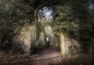 Evelyn Edwards Instagram - *****LINK IN BIO TO WATCH NEW EPISODE*****This is my absolutely most favorite ruin in England. Spectacular is an understatement. I love it so much I made a whole episode about it. I’m so proud of this episode. Dare I say it’s my favorite episode yet?  It would mean beyond the world to me if you give it a wee watch.  Happiest Holidays to you my amazing friends! 💚 ⛪️ 🏴󠁧󠁢󠁥󠁮󠁧󠁿

⁣
.⁣
.⁣
.⁣
.⁣
.⁣
#churchesofinstagram #historicchurchesofinstagram #architecture #architecturephotography #kirche #oldchurch #churchmypassion #churchesoftheworld #churcharchitecture #abandonedchurchesofinstagram #churchphotography #medieval #medievalarchitecture #medievalhistory #ruins #ancientruins #history #hisotrylover #historylovers #middleages #catholicchurch #churchofengland #churchphotography #fiftyshades_of_nature #abandonedplaces #urbexphotography #urbexuk #amazingplaces #traveldeeper 
#historygeek
