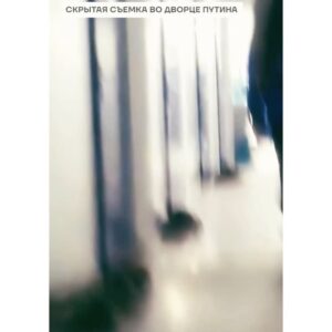 Evgeniy Chichvarkin Instagram - Дорогие друзья, обязательно посмотрите великолепное путешествие по дворцу Путина от @fbk.info @alburov @maria_pevchikh . У нас никогда не хватит эмоций удивляться запредельному стяжательству, которое мы видим в его дворцах и яхтах, а дворец в Геленджике - это вишенка на торте. Если вы находитесь в безопасном месте, перепостите, пришлите ссылку друзьям и родственникам, особенно старшим. Команда спешила к инаугурации, поэтому английские субтитры будут чуть позже, через день/два. 

Я являюсь последовательным другом и донором ФБК с 2010 года, и я прихожу в абсолютный восторг, когда мои эмоциональные и финансовые усилия превращаются в подобный продукт. 

Хочу напомнить, что великолепные антикоррупционные расследования «Он вам не Димон», «Дворец Путина» и прочие набирали до 140 млн просмотров, что в разы превышает обычную аудиторию, поэтому влияние этих фильмов на понимание путинской России и Путина очень сложно переоценить. 

Предыдущий фильм @maria_pevchikh вызвал споры и негодование. У меня он также вызвал много вопросов, и я надеюсь, что мы с Марией обсудим это публично в спокойной обстановке и в дружеском режиме. Расследования, которые сплачивают, а не разобщают сторонников, - это то, за что мы любим и поддерживаем @fbk.info, и продолжаем безопасным образом им донатить. 

Безусловно, в истории России, в ее трактовках , особенно в очень неоднозначных 90х, нужно разбираться и дискутировать или дискуссировать, но в момент, когда от нашего имени Путин развязал кровавую жесткую войну в отношении Украины, самым важным политическими шагом будет объединение сил для борьбы с милитаристской хунтой Путина. 
Ссылка в профиле. 
#Repost @maria_pevchikh Новое расследование. Прогулялись по дворцу Путина со скрытой камерой. 

Представляете, что какой сейчас шок, скандал и кипиш в ФСО? Провалилась путинская безопасность. Теперь его секретный дворец может увидеть любой. 

Ссылка на расследование в профиле. Смотрите !