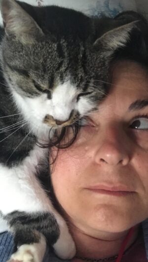 Evren Duyal Instagram - Kahveyi kim yapacak? #cats #goodmorning #coffeetime #kahve #günaydın