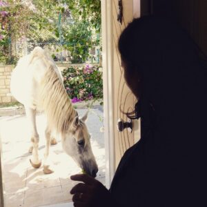 Evrim Solmaz Instagram - Hi hi ☺️doğumdan bir gün önce evimin kapısına hamile beyaz bir at geldi☺️☺️buna ne demeli😊😊🙏🏻😇👼🏼👼🏻💫💛💛🌀
I going to give birth before there was a pregnant white horse came to my house ..omg..what can I say ☺️☺️🙏🏻👼🏼💫😇
#whitehorse #horse #pregnant #mirricle #suprise #gotobirth #love #namaste #beyazat #at #hamile #hamileat #dogumdanonce #sevgi #şükür #sukur #thanksgod