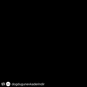 Eylem Canpolat Instagram - En zor şeydir sevdiğinin el olması.. Ama hala kalbindeyse ne kadar istesen de “herkes gibi” olamaz işte..
