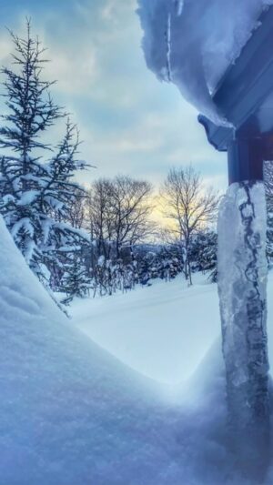 Ezgi Çelik Instagram - ❄️❄️❄️
 #winter #winterwonderland