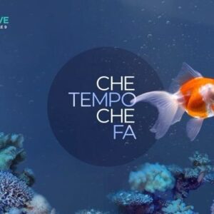 Fabio Fazio Instagram - 15 ottobre #CTCF sul @nove 🐠