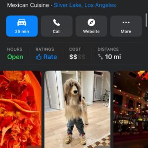 Fallon Smythe Instagram - so you’re telling me… if I show up to that Mexican restaurant, I’m gonna see a dog w bangs in skinny jeans?