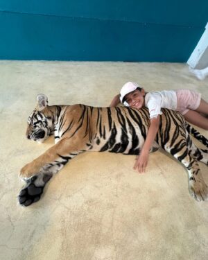 Farid Kamil Instagram - Melawat Harimau di Tiger Sanctuary , Pattaya. Muhammad ada perlawanan bola di sini dan kebetulan bermain untuk team Tiger U12 (Malaysia).